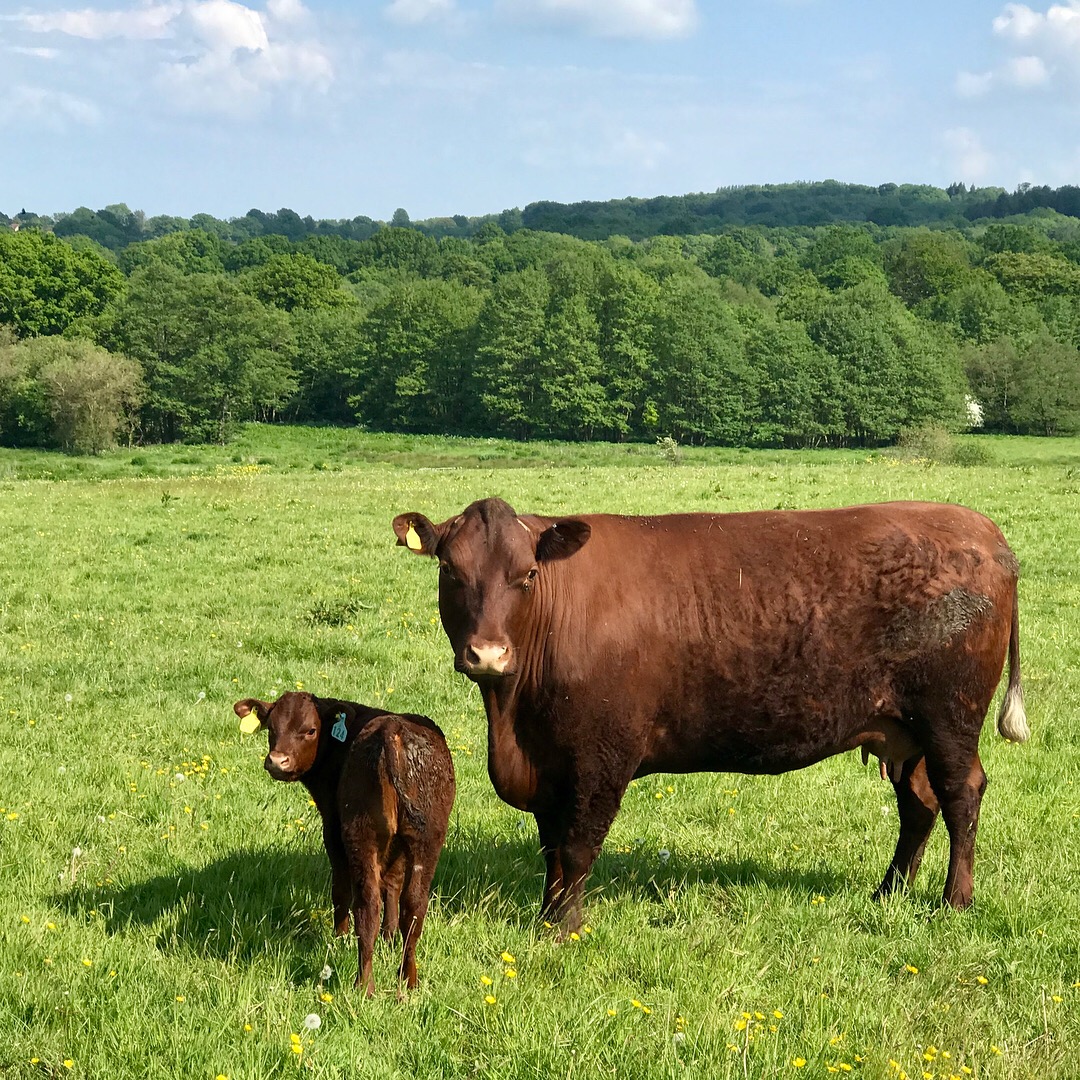 Farming Buckhurst Park